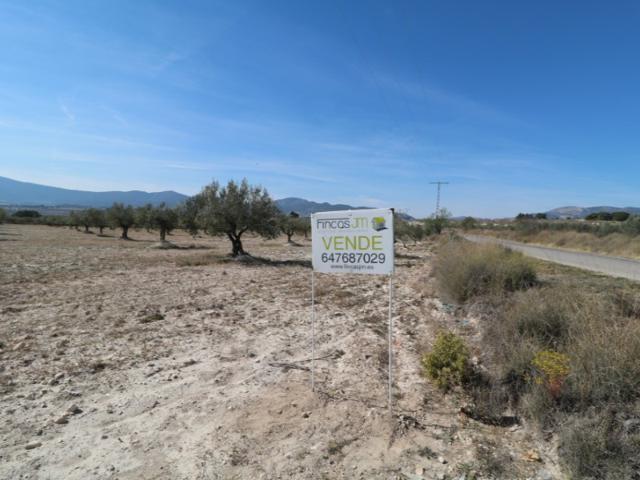 Terrenos Edificables En venta en Castalla photo 0