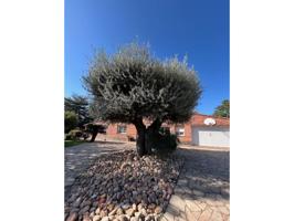 Casa-chalet en venta en Palau-solità i Plegamans photo 0