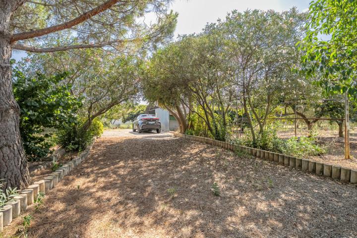 Masia - Riudoms photo 0