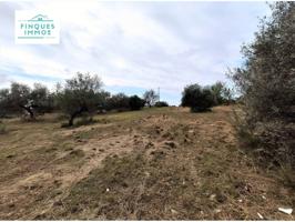 Terreno en venta en Alcanar photo 0