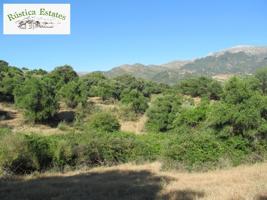 Parcela en Venta en Cortes De La Frontera Málaga photo 0