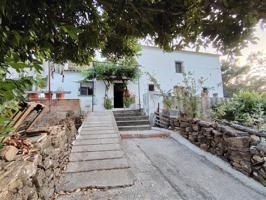 Casa de campo-Masía en Venta en Cañada Del Real Tesoro, La Málaga photo 0