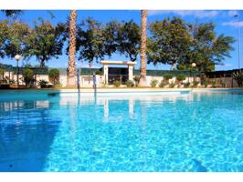 Piso en San Juan con 3 dormitorios con piscina y garaje Residencial Tucana - San Juan (Alicante) photo 0