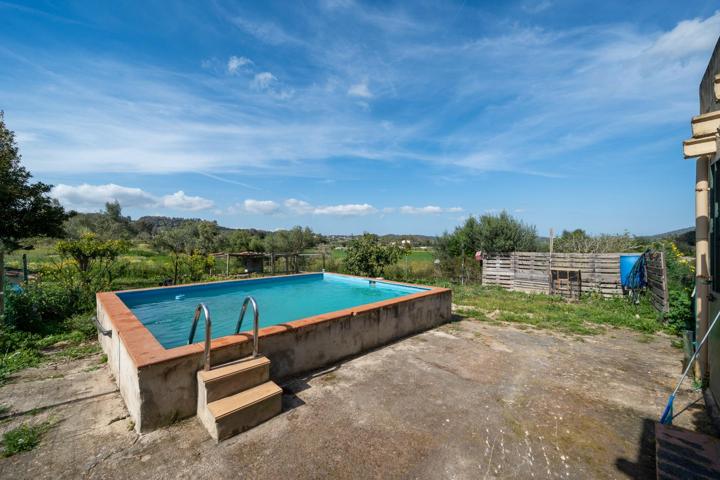 FINCA RUSTICA EN MONTUIRI photo 0
