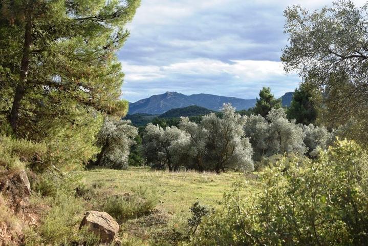 Casa De Campo En venta en Próxima Al Pueblo, Valderrobres photo 0