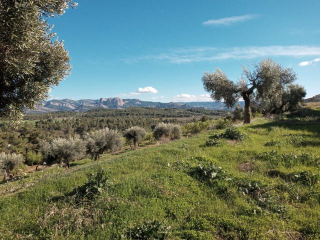 Terreno Urbanizable En venta en Lledó, Lledo photo 0