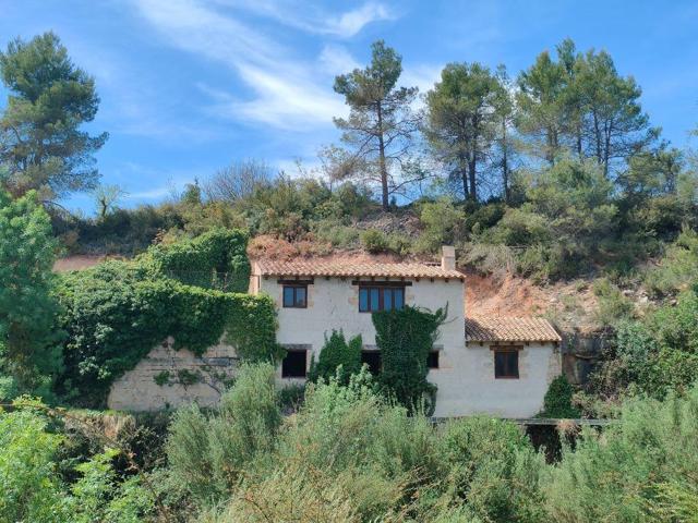 Antiguo molino reformado con interiores diáfanos photo 0