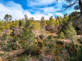 Casa De Campo En venta en Próxima Al Pueblo, Valderrobres photo 0