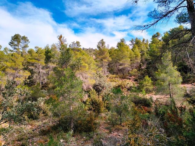 Casa De Campo En venta en Próxima Al Pueblo, Valderrobres photo 0