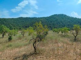 Otro En venta en Arenys De Lledo, Arens De Lledo photo 0