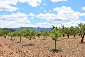 Otro En venta en Arenys De Lledo, Arens De Lledo photo 0