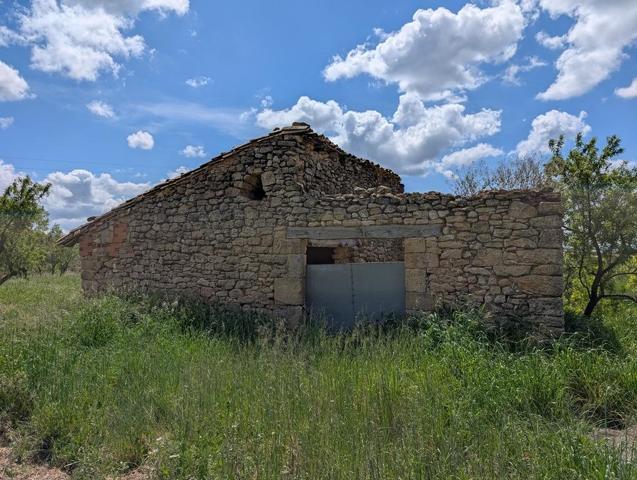 Finca con casita cerca de Monroyo photo 0