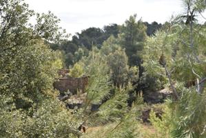 Finca en la montaña con posibilidad de construir photo 0