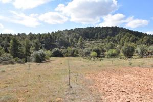 Terreno llano y espacioso con posibilidad de construir photo 0