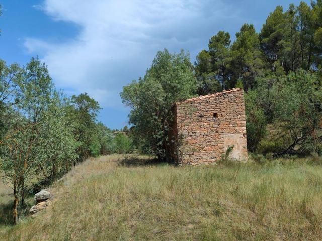 Casa De Campo En venta en La Fresneda, La Fresneda photo 0