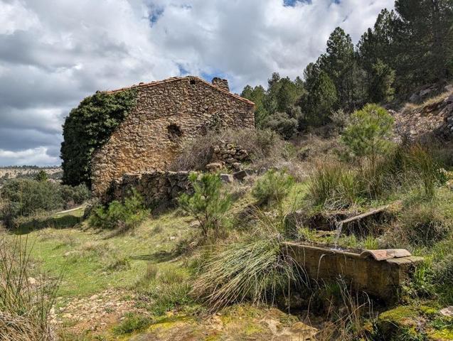 Gran finca de 102 Ha con edificación histórica photo 0