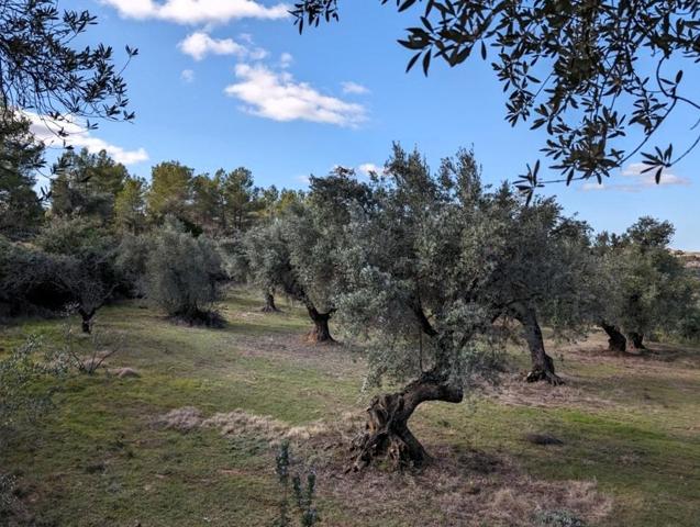 Casa De Campo En venta en Algars, Arens De Lledo photo 0