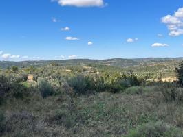 Terreno llano en Calaceite photo 0