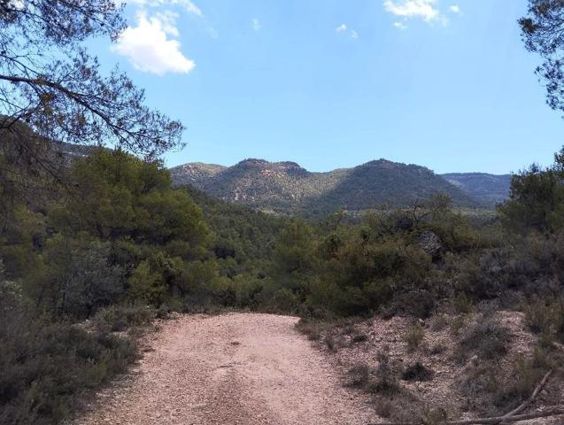 Finca en la montaña con agua photo 0