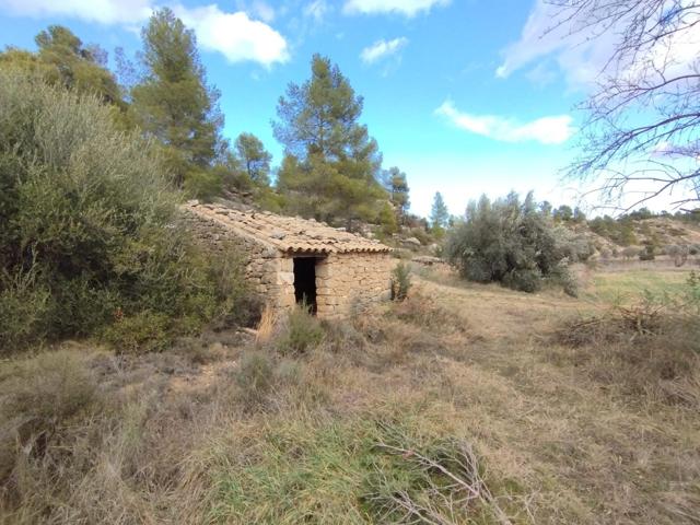 Maset en la Fresneda photo 0