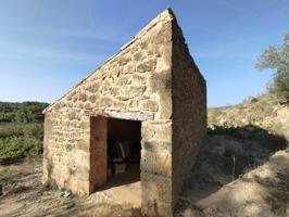 Finca con maset y cultivo por goteo en Torre del Compte photo 0