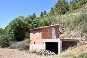 Huerto con caseta de aperos junto al río Matarraña photo 0