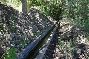 Huerto con agua de acequia photo 0