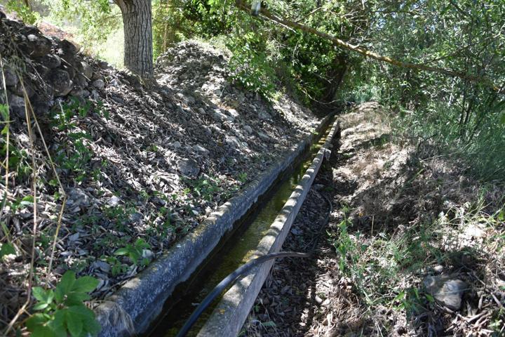 Huerto con agua de acequia photo 0