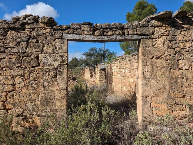 Finca rústica con cultivo ecológico y masía photo 0