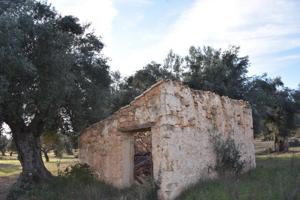 Finca rústica con maset a rehabilitar y olivos photo 0