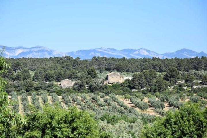 Finca con masía a reformar en Cretas photo 0