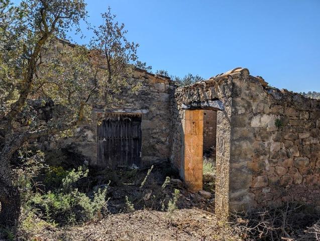 Finca con maset en Cretas photo 0