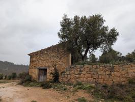 Finca rústica con maset en Torre del Compte photo 0