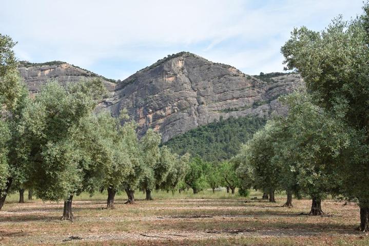 Finca rústica en Horta de Sant Joan photo 0