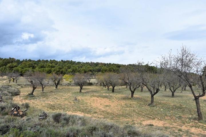 Finca rústica en Fuentespalda photo 0