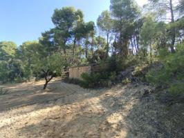 Finca rústica con maset en Valderrobres photo 0