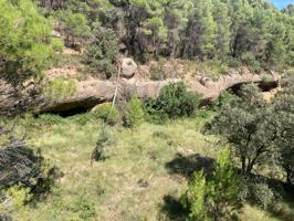 Finca rústica en Ráfales photo 0