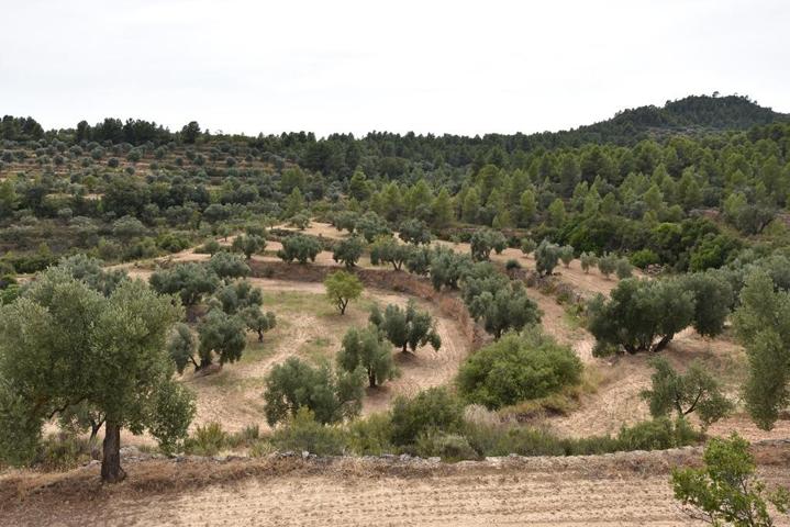 Finca rústica en La Fresneda photo 0