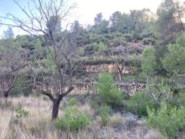 Finca rústica en Calaceite. photo 0