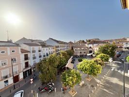 PISO EN PLAZA DEL PINO photo 0