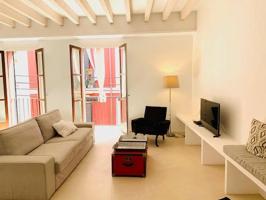 CENTRICO EXCLUSIVA VIVIENDA AMUEBLADA . ZONA BONE. photo 0
