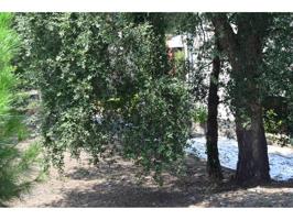 Terreno en Venta de 526m en Aguas Buenas photo 0