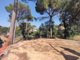 PRECIO NEGOCIABLE TERRENO LAGO DEL CISNE photo 0