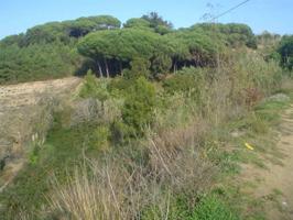 Terreno en venta photo 0