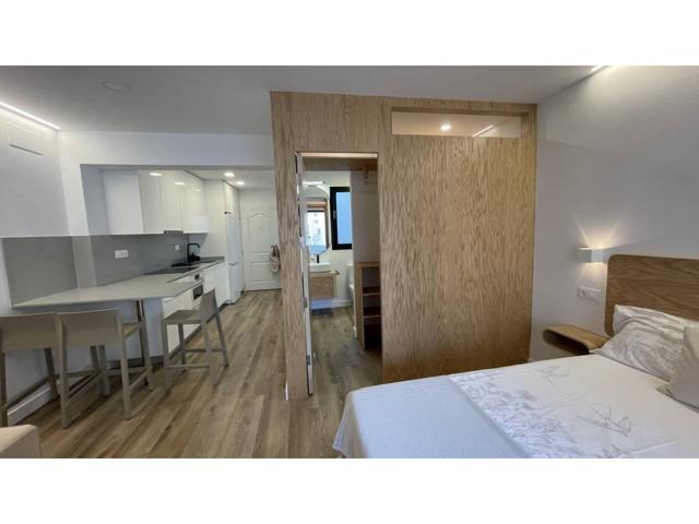 Apartamento en alquiler en Puerto Canteras photo 0