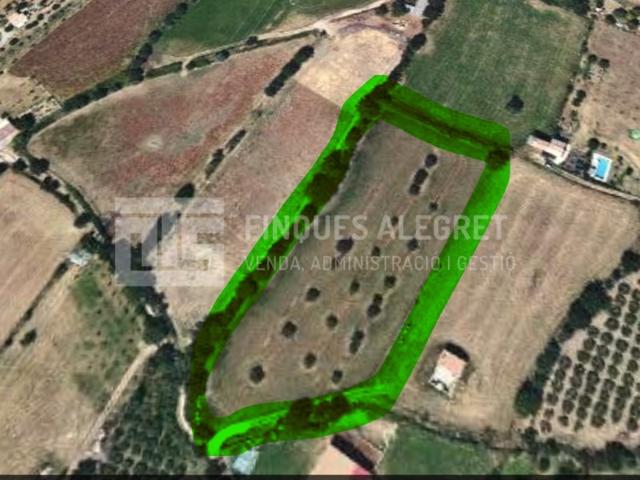 Otro En venta en La Pobla De Segur photo 0