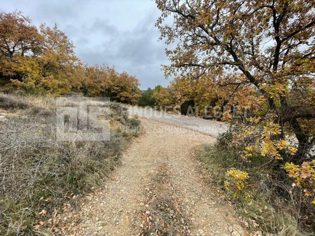 Otro En venta en Salàs De Pallars photo 0