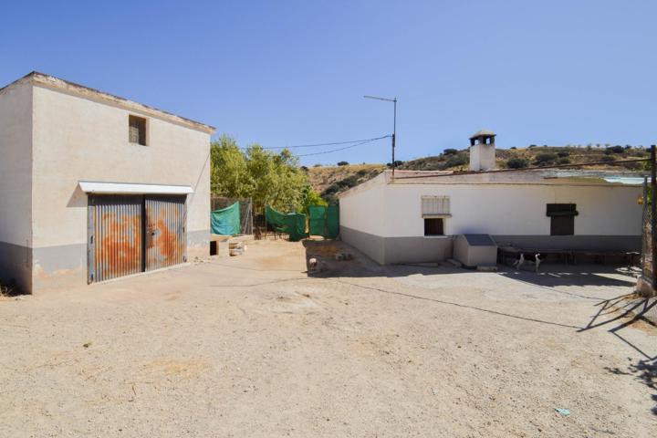 ¡Magnífica Finca de 18 Hectáreas en Plena Producción de Almendros y Olivos! photo 0