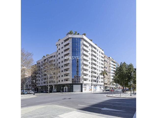 PROMOCIÓN REINA ALAMEDA CARTAGENA photo 0