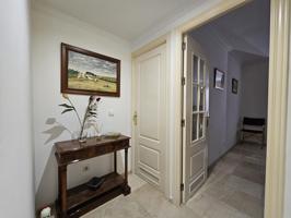 ZONA VIAL NORTE PROLONGACION GRAN CAPITÁN photo 0